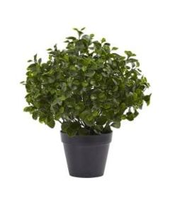 Nearly Natural 23inH Peperomia Plant With Pot, Green/Black