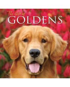 Willow Creek Press 5-1/2in x 5-1/2in Hardcover Gift Book, The Gift Of Goldens