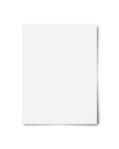 Office Depot Brand Heavyweight Poster Board, 22in x 28in, White