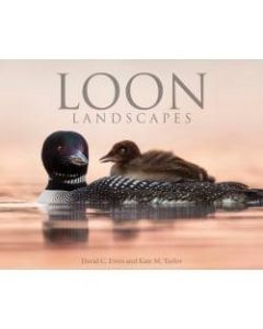 Willow Creek Press 8in x 10in Hardcover Gift Book, Loon Landscapes By Evers & Taylor