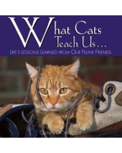 Willow Creek Press 5-1/2in x 5-1/2in Hardcover Gift Book, What Cats Teach Us By Glenn Dromgoole