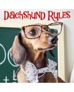 Willow Creek Press 5-1/2in x 5-1/2in Hardcover Gift Book, Dachshund Rules