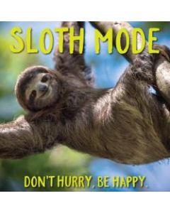 Willow Creek Press 5-1/2in x 5-1/2in Hardcover Gift Book, Sloth Mode